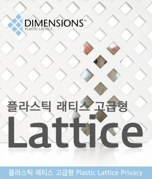lattice_privacy_main